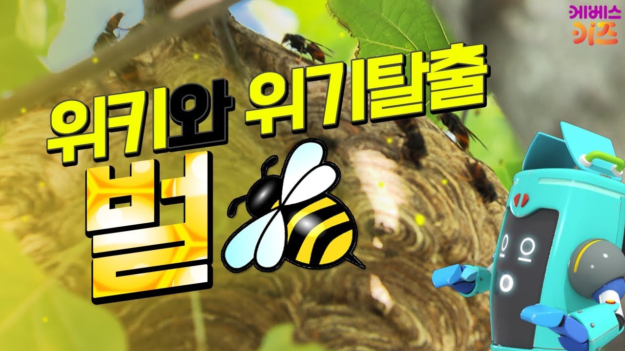 [KBS키즈] 위키와 위기탈출 ｜ KBS 자동공부책상위키 ｜ 벌 ｜ 벌 쏘임 사고 예방