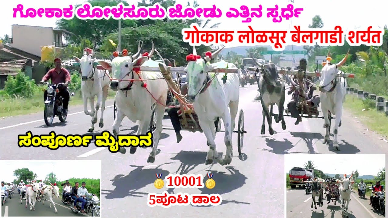 ಗೋಕಾಕ ಲೋಳಸೂರ ಜೋಡು ಎತ್ತಿನ ಜನರಲ ಮೈದಾನ ಪ್ರಥಮ ಬಹುಮಾನ 10000 ಮತ್ತು 5 ಪೂಟ ಡಾಲ | Bull Cart Race Lolasoor
