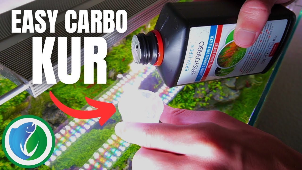 Easy Carbo Kur - Rotalgen/Algen im Aquarium bek&auml;mpfen