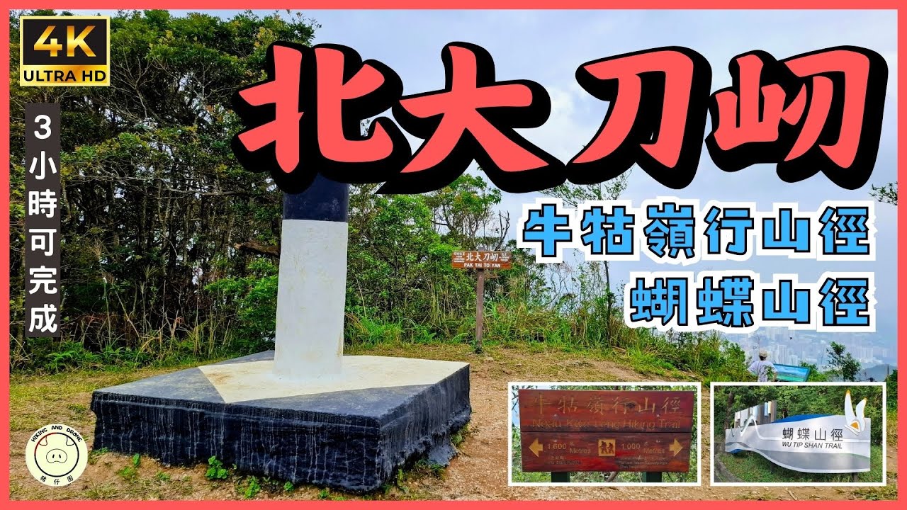 [輕鬆郊遊] 北大刀屻, 蝴蝶山徑, 牛牯嶺行山徑 |  粉嶺站 ➡️ 林村 | 全程7.6km| #北大刀屻 #牛牯嶺 #蝴蝶山徑 #行山徑 #箕勒仔 #GPX