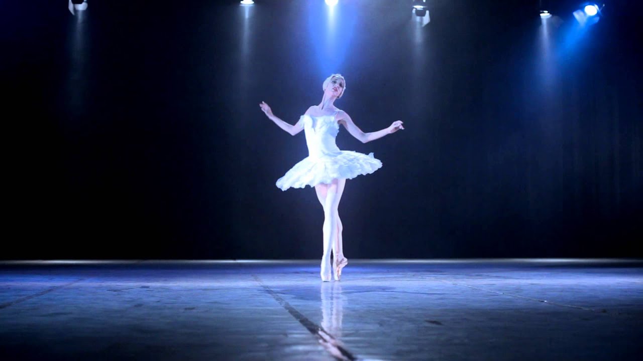 La Muerte del Cisne   Sarima Proveyer