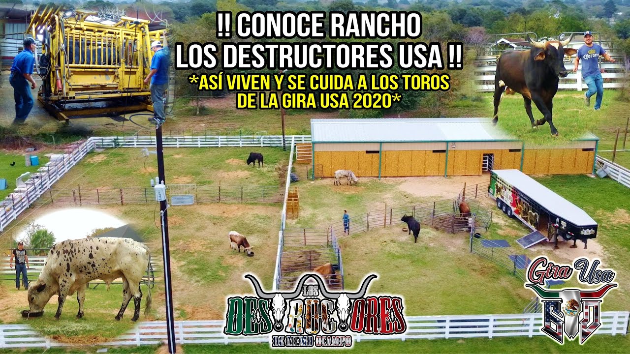 ESPECIAL: CONOCE Rancho Los Destructores USA | ASI VIVEN Y SE CUIDA A Los Toros Durante La Gira 2020