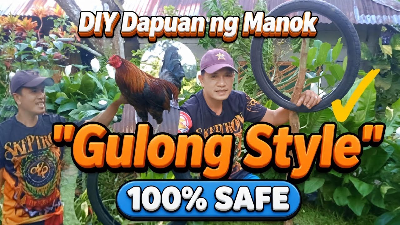 DIY Dapuan Ng Manok || Used Tire Into Chicken Roost || JFCTV