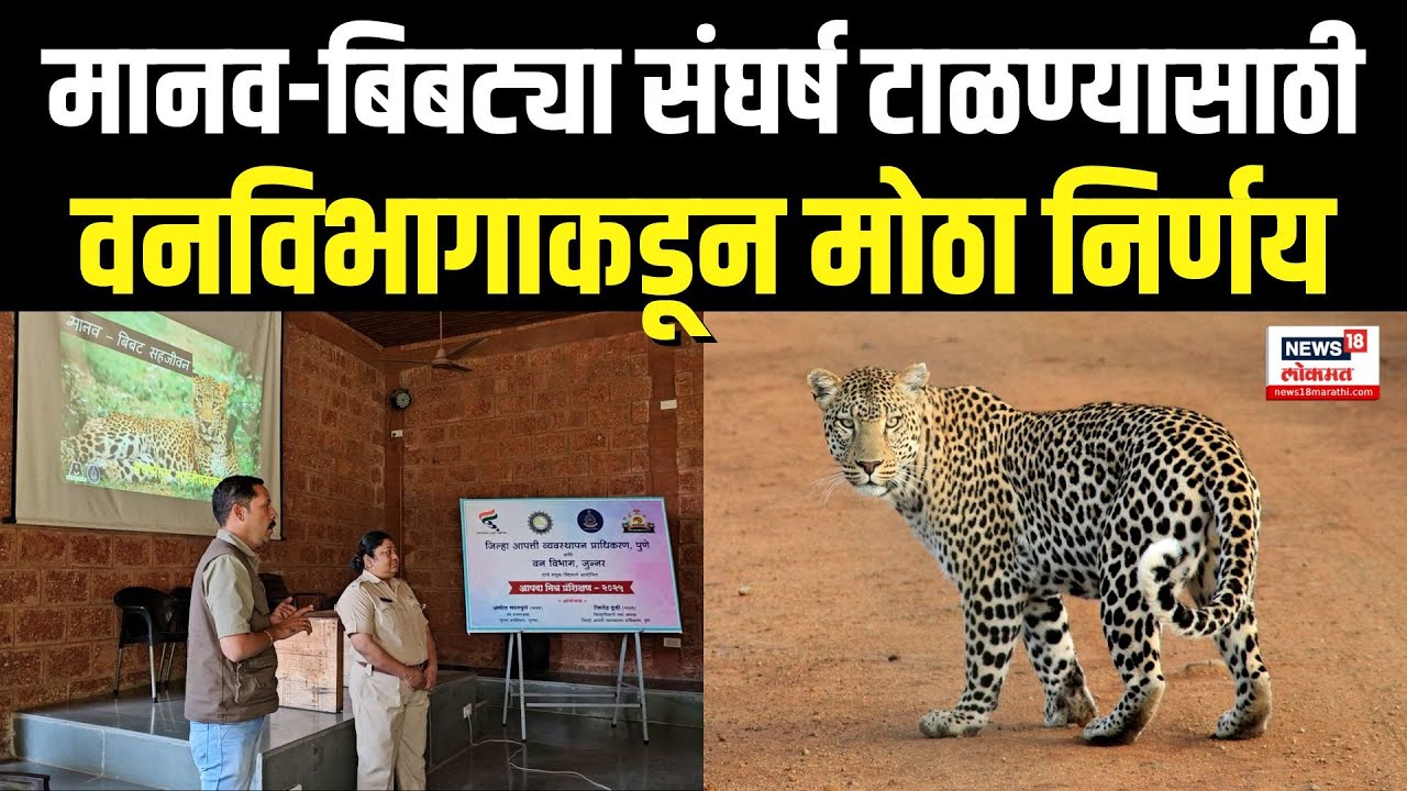 Manikdoh Leopard Rescue Centre: मानव-बिबट्या संघर्ष टाळण्यासाठी    वनविभागाकडून मोठा निर्णय N18V