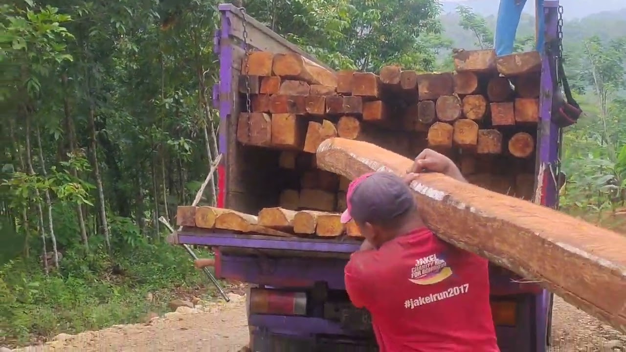 MUAY KAYU RACUK 3 - 4 METERAN