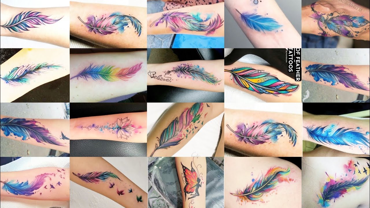 Feather tattoo design। Colour feather tattoo design।colour tattoo designs।