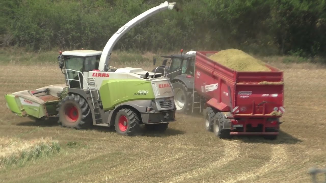 GPS Ernte 2021 Claas Jaguar 970 DIRECT DISC 6 Meter Roggen Häckseln mit dem Lohnunternehmen W&W Ganz
