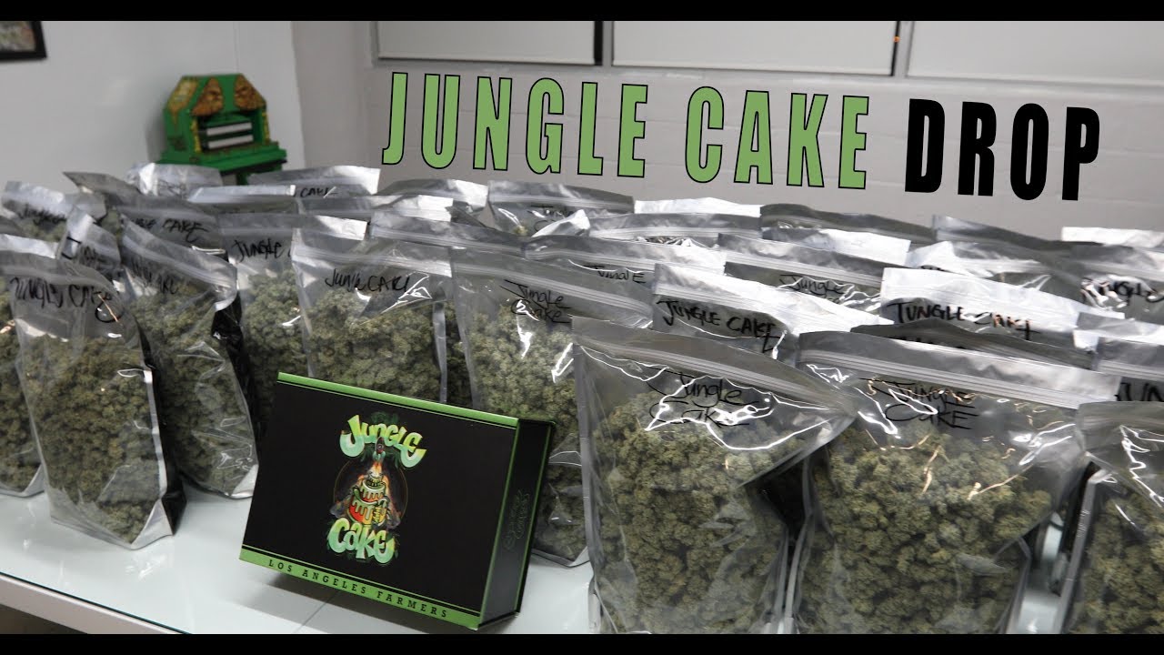 Jungle Cake Drop!