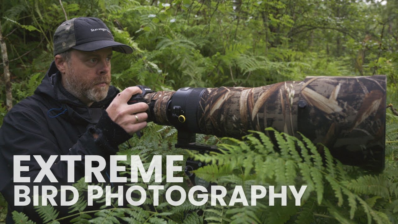 Подходит ли Nikon Z6 III для съёмки при слабом освещении? Фотосъёмка птиц в сложных условиях