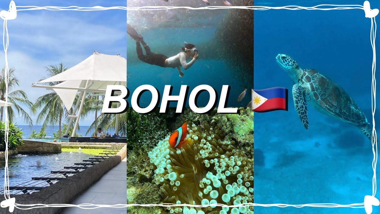 🇵🇭 4박 6일 보홀 여행 브이로그 | 모달라 비치 리조트 | 경비 + 숙소 + 필수체험 추천 🐠🐢🏝️ | 보홀 여행 전 필수 시청‼️꿀팁 모음 🍯