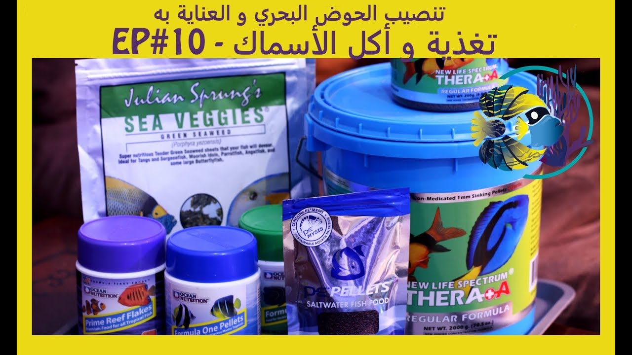 #10 تنصيب الحوض البحري و العناية به - تغذية و اطعام الاسماك
