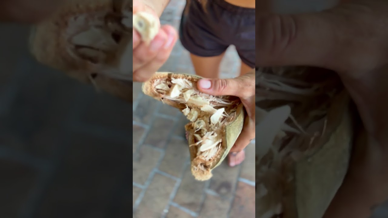 BAOBAB - JAK SMAKUJĄ JEGO OWOCE? | INNE ŚWIATY #baobab  #owoce  #brazylia #fruit #podr&oacute;że #jadalne