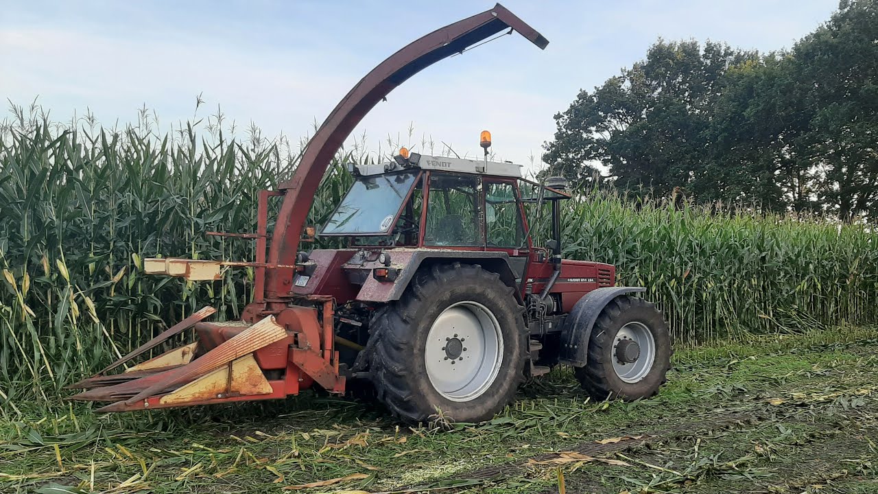Mais häckseln 2021 mit Fendt 614 LSA und PZ MH 160s, Ihc 946, 433, Fendt 105, Deutz 6826 5207