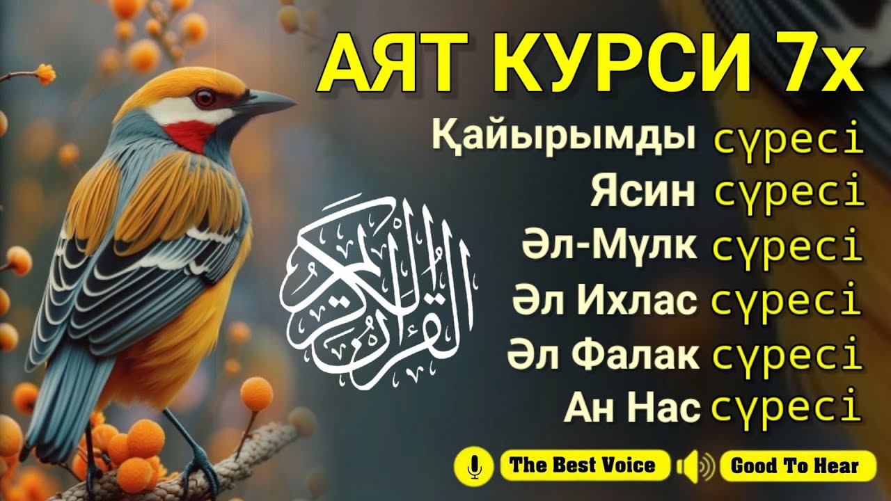 ҚҰРАН Ұйқы алдындағы хикаялар | Ясин, Ар Рахман, Аят Курси, Әл Фалақ, Әл Мулк, Тарек Мухаммад