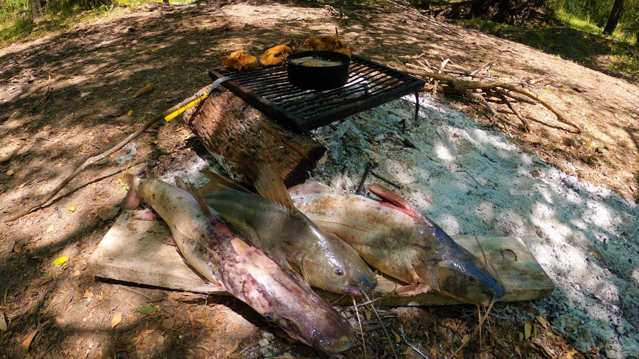 CAMPAMENTO DE PESCA Y COCINA en Rio Gualeguaychú, aventura y bagres fritos, pesca de barrio