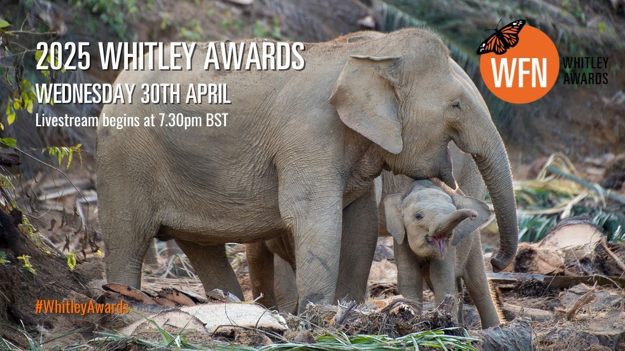 Whitley Awards 2025: LIVE!