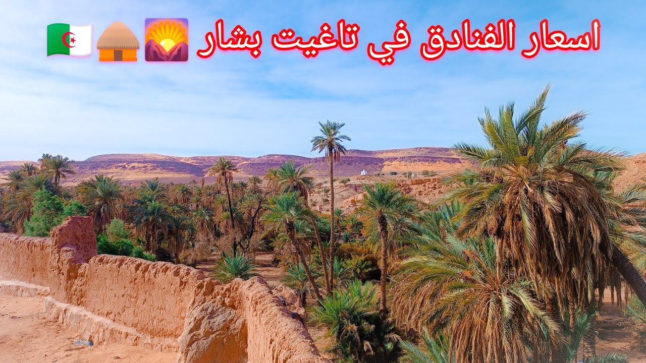 اسعار الفنادق في تاغيت بشار 2022 🛖🌴🇩🇿🌄