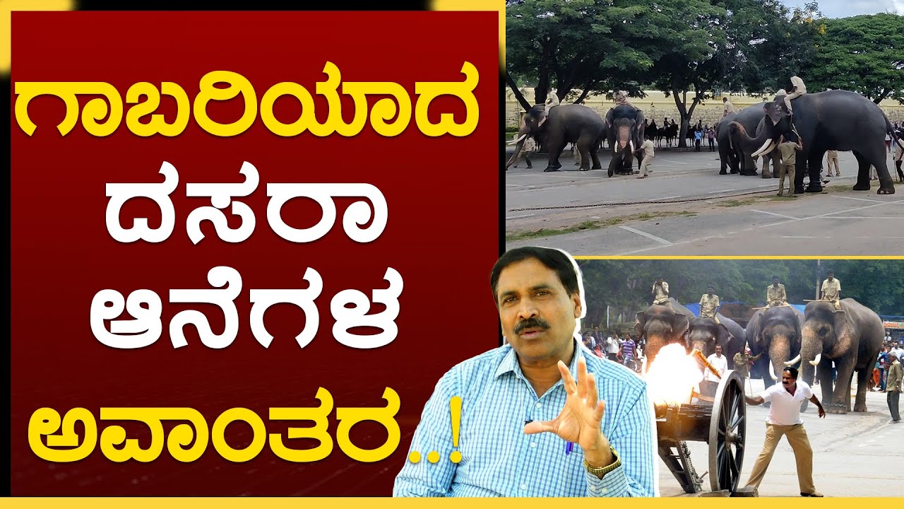 ಮೈಸೂರು ಅರಮನೆಯೊಳಗೆ Elephants attack..! | Dasara Elephants Training | Nagaraju | EP-15 | GSS MAADHYAMA