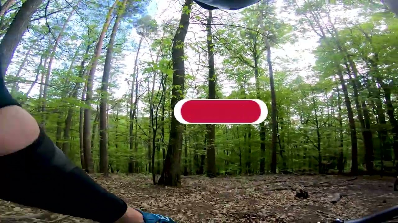 Heidelberg Freeride e.V. Runde zum Wei&szlig;enstein Dossenheim DH