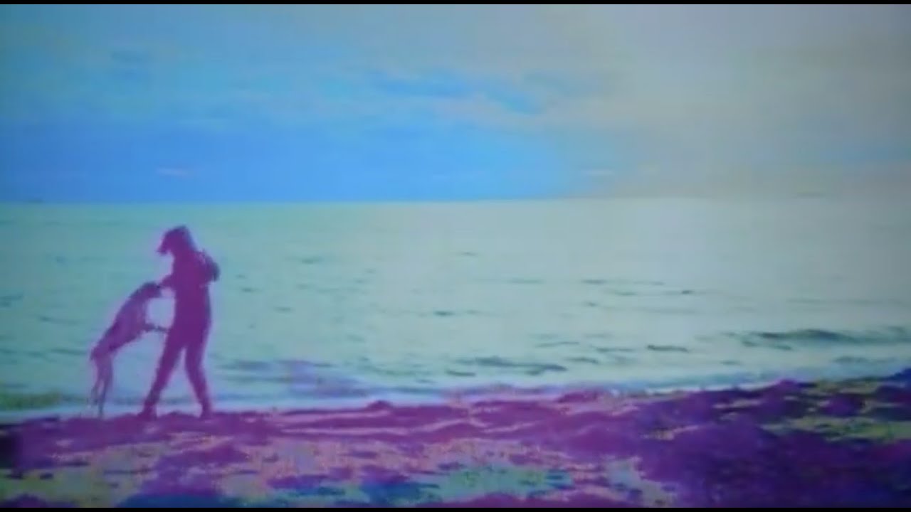 Shiny Joe Ryan - A Stitch In Time (Official Video)