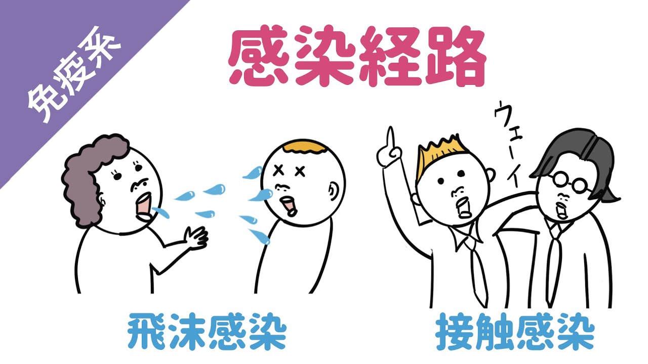 【感染経路】水平感染と垂直感染
