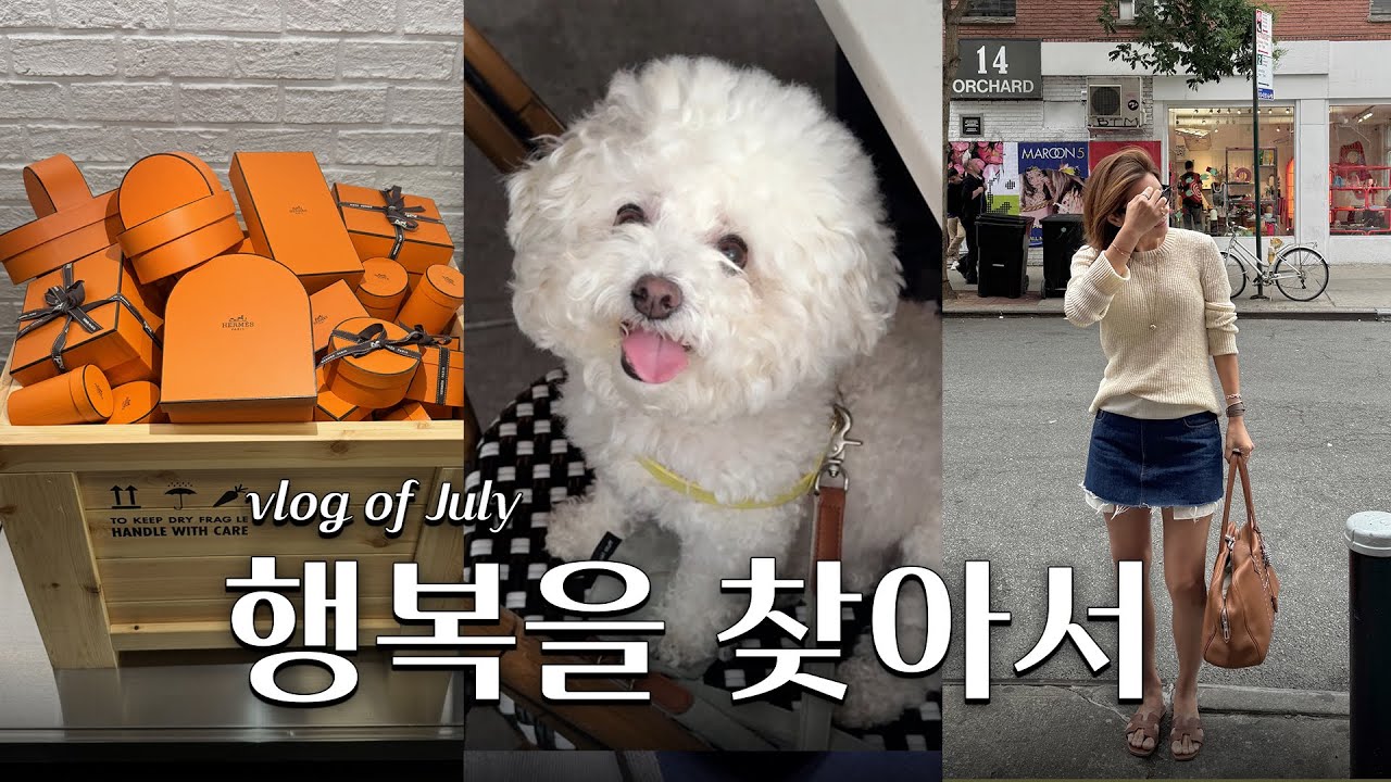 7월의 브이로그, 그래서 제 행복은 뭐였냐면요!