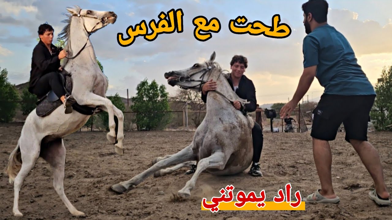شوف قوة وعناد هذا الفرس راد يكسرني