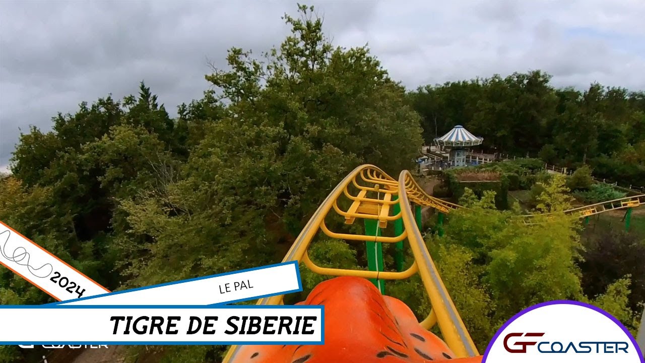 TIGRE DE SIBÉRIE - LE PAL - GFcoaster - POV [2024]