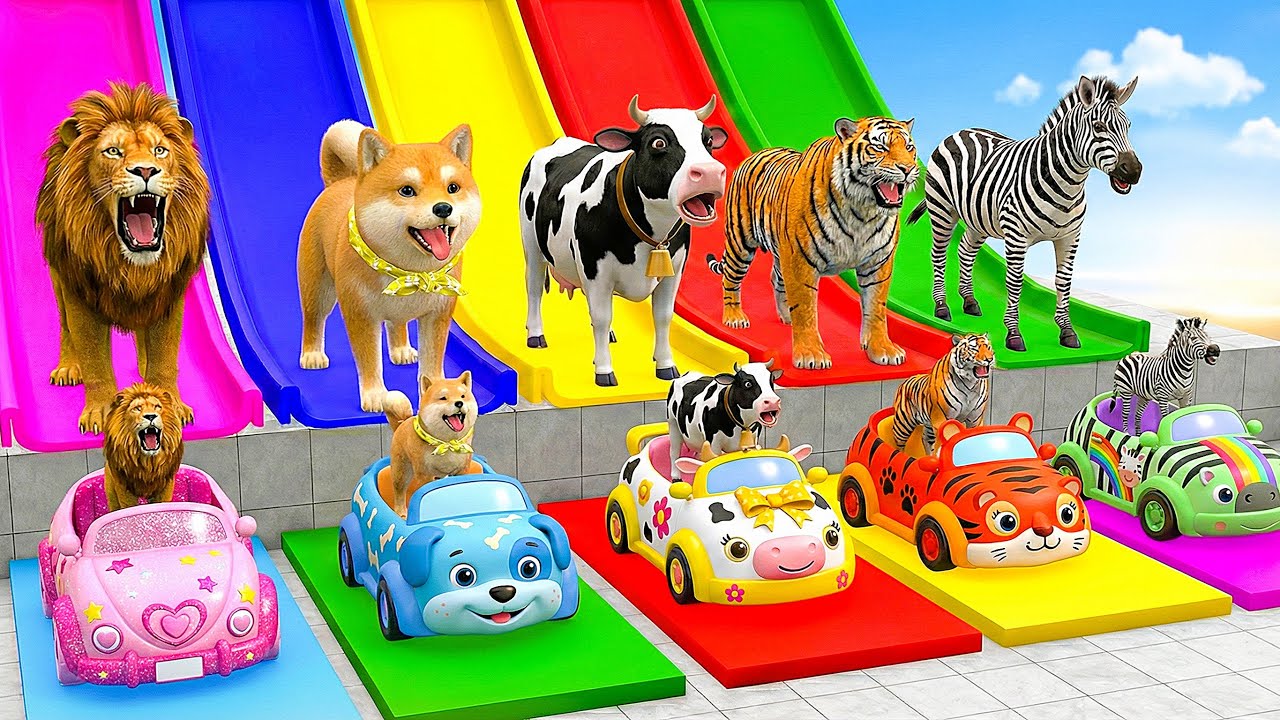 Long Slide Game with Cow Elephant Gorilla Hippopotamus Tiger 3d Animal Game Funny 3d Animals