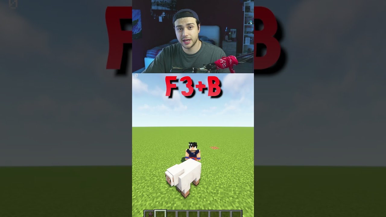 tutte le combinazioni del tasto f3 su #minecraft #shorts