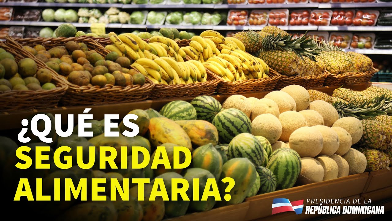 ¿Qué es Seguridad Alimentaria?