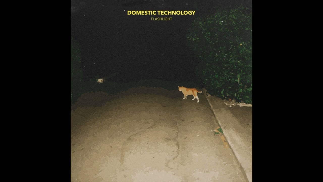 Domestic Technology - Flashlight (Original Mix)