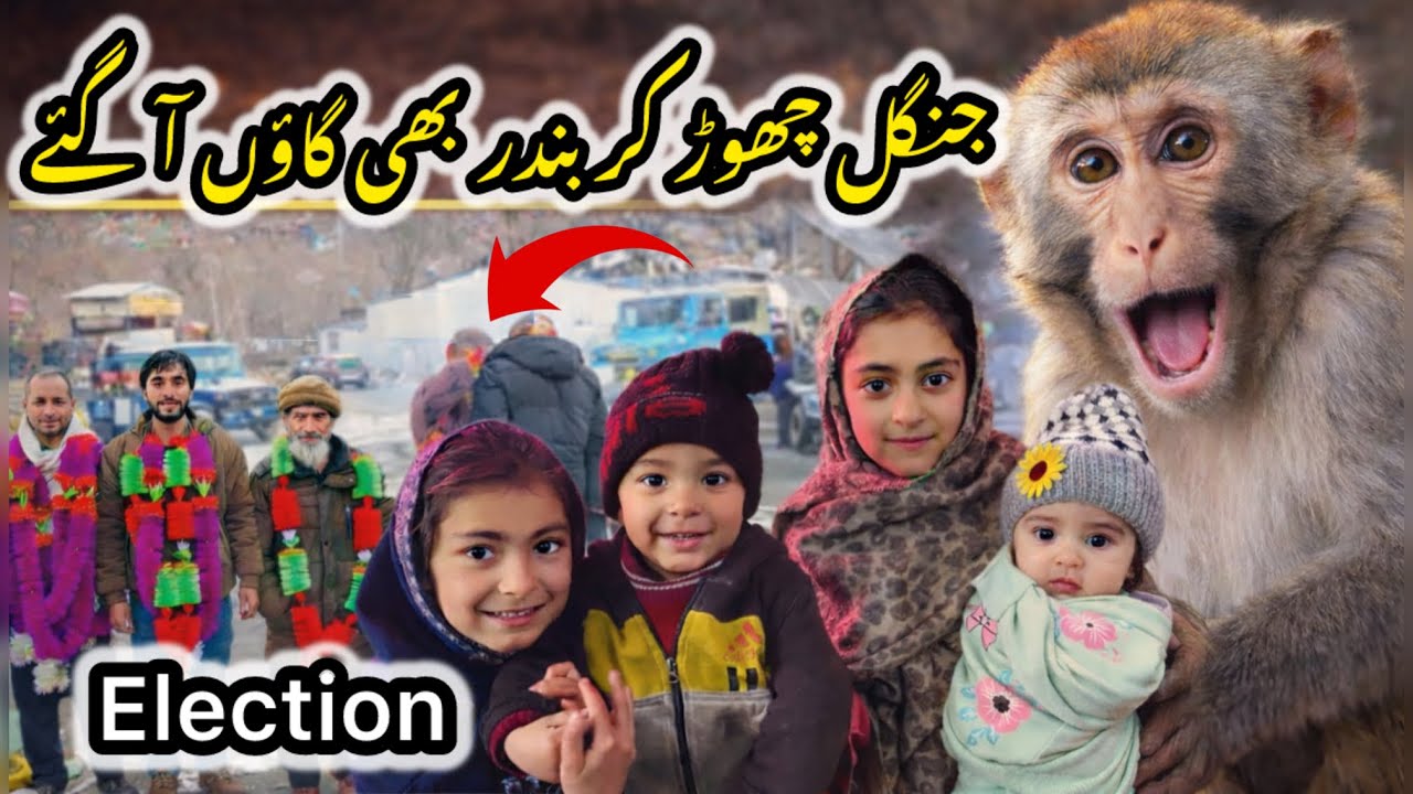 Hunger Brought Monkeys into the Village | Surprising Scene😱Azhar vlogs 
