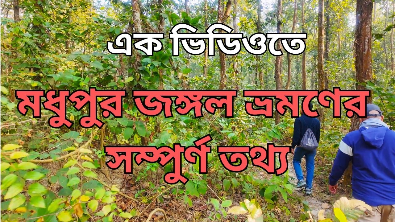 মধুপুর জঙ্গলের সম্পুর্ণ ভিডিও | Madhupur Jungle Full Video | January/2025