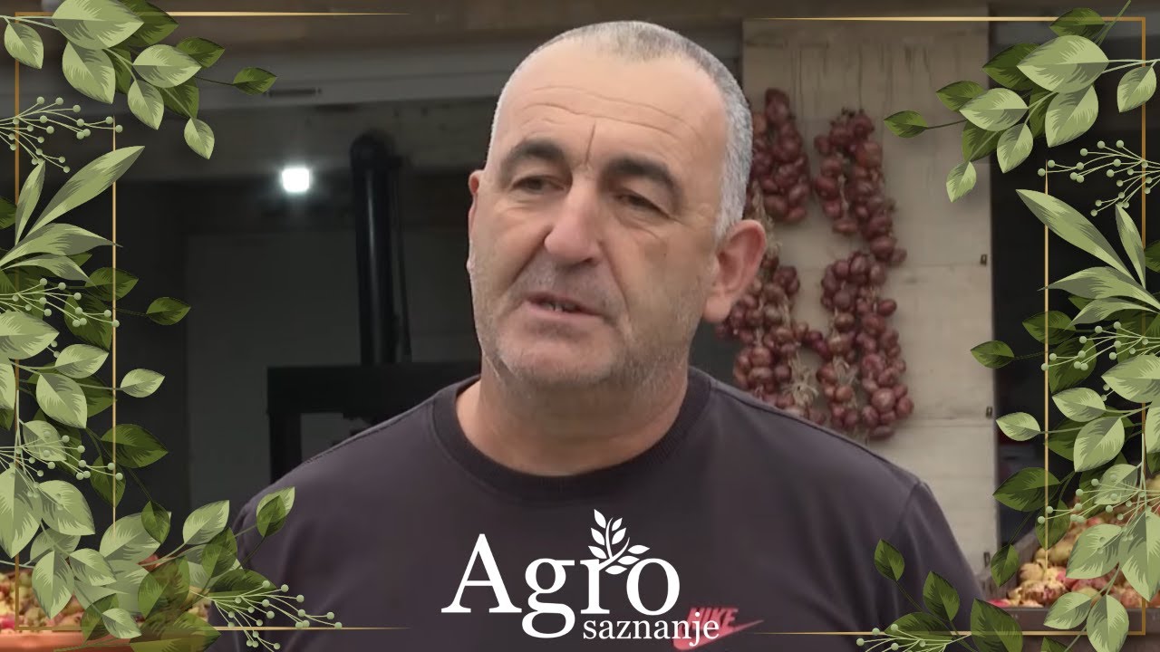 AGROSAZNANJE - Otkup jagnjadi, rod agruma, nara i maslina i priča s Krnje Jele