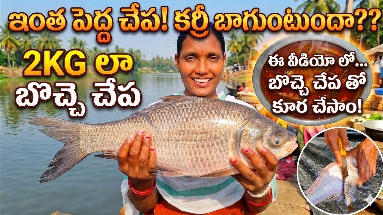 2KGల భారీ బొచ్చె చేపతో నోరూరించే చేపల పులుసు | Village Style Fish Curry Recipe in Telugu