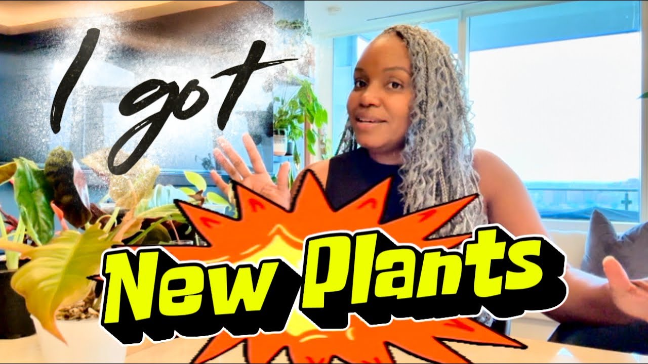 🌱 Palmstreet & Etsy Plant Haul | Rare Alocasias, Philodendrons, Shoutouts 📣 & More!