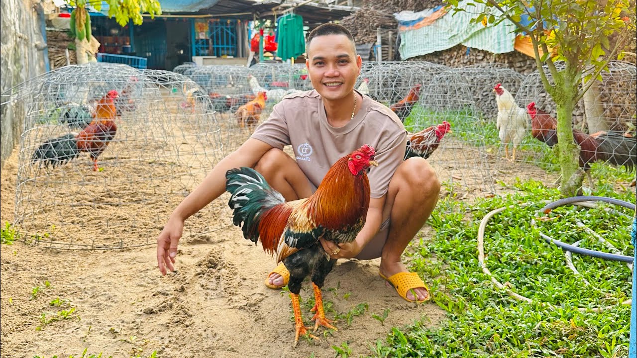 Tốp Những Bé 🐓Mới Về 🏕️ Đang Vào Chế Độ Sạc 🔋Phục Vụ Ae