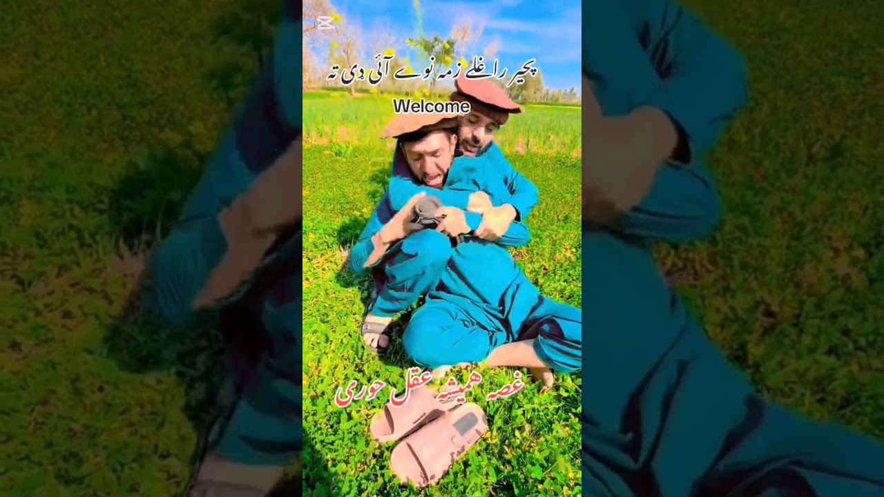 10 funny video