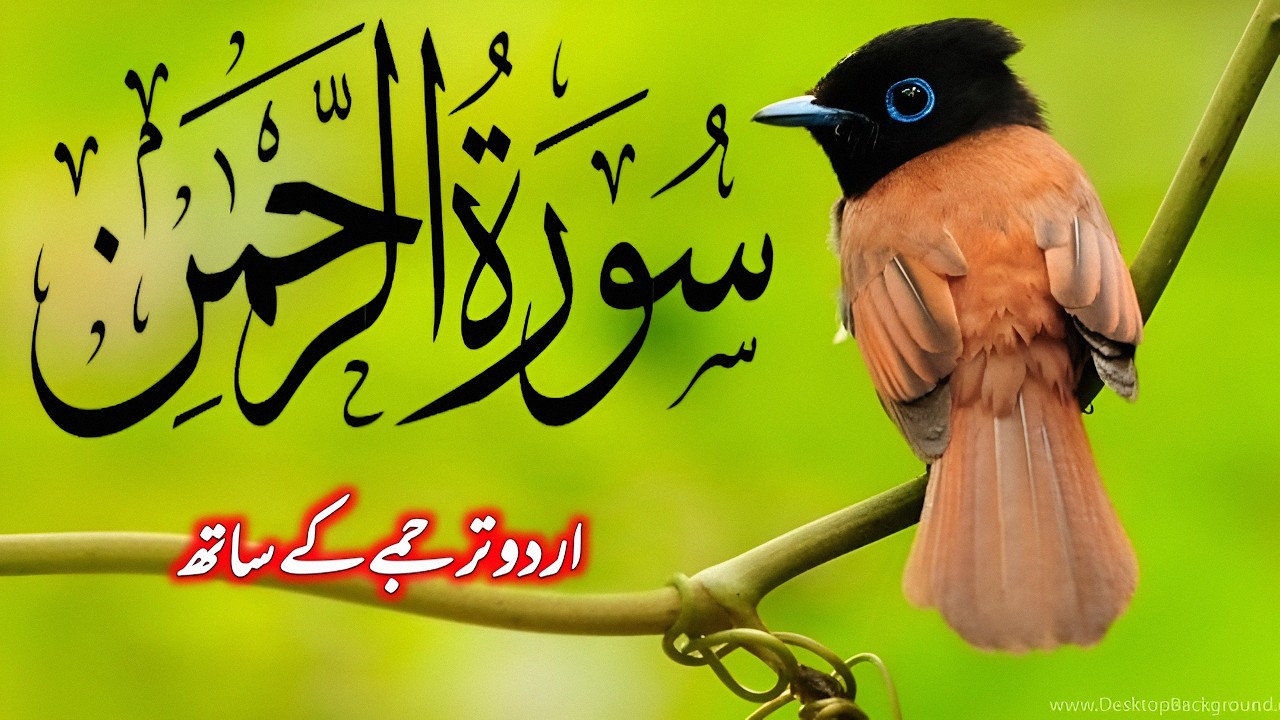 Surah Rehman Full With Urdu Translation By Qari Abdul Basit