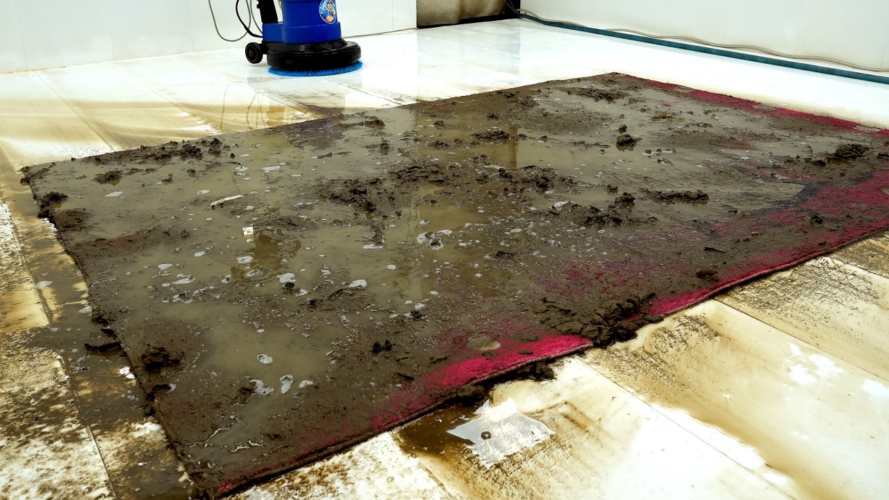 This Carpet Was Drowning in Mud Water&hellip; What Came Out Was Insane | Carpet Cleaning ASMR