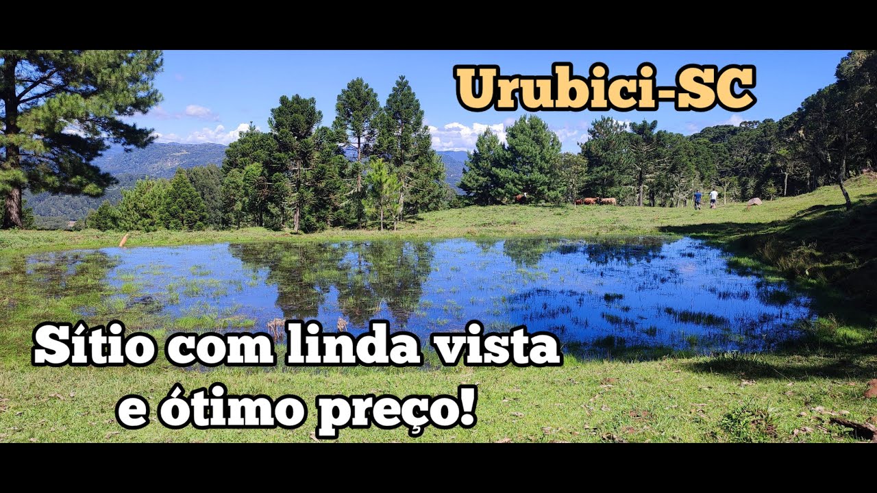 Sitio em Urubici - SC, na Serra, Araucárias, Nascentes e linda Vista. Bem vindos...