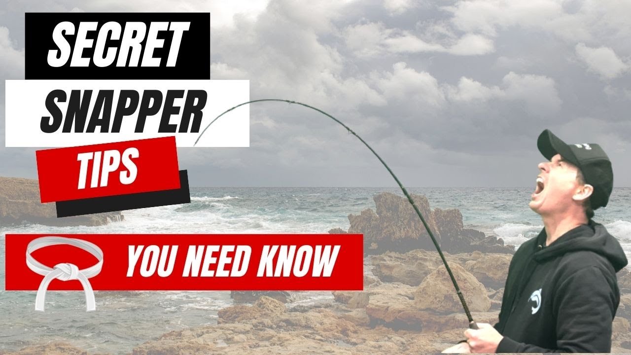Snapper Tips For Beginners | Part 1