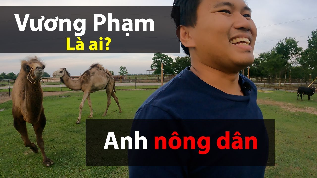 Vuong Pham l&agrave; ai - clip tự giới thiệu về bản th&acirc;n - Vuong101