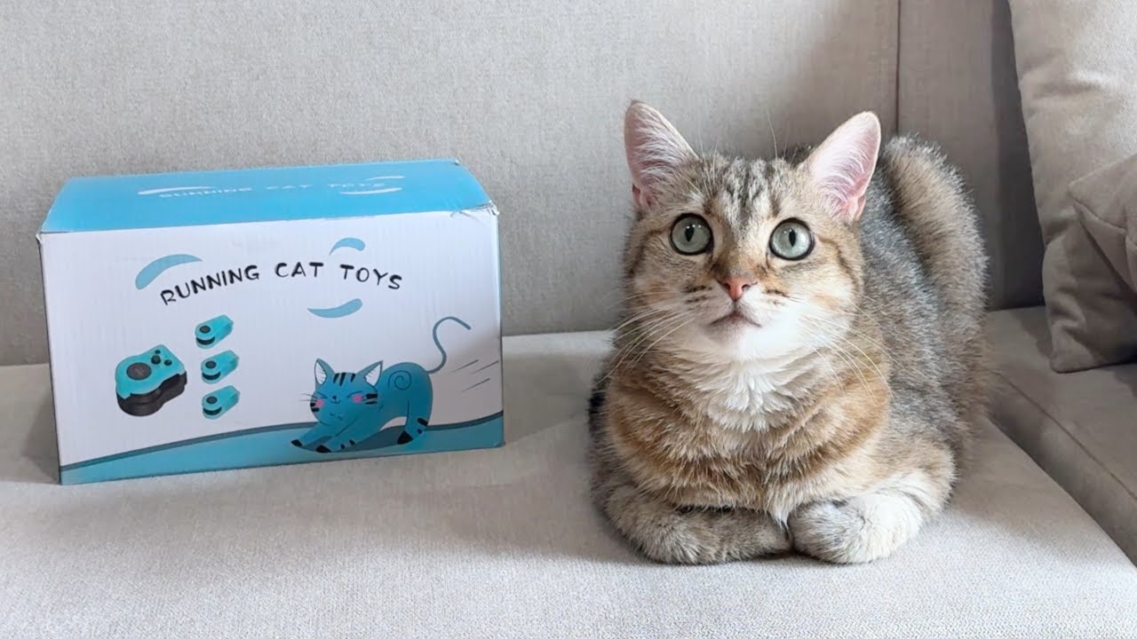 サプライズ失敗!? 隠してた誕生日プレゼントがバレました&hellip;