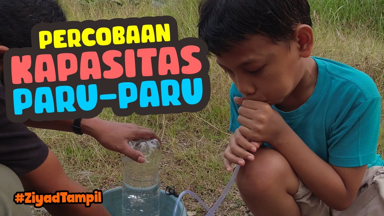 Percobaan menghitung Kapasitas Paru-Paru  - kelas 5 Sekolah Alam Arridho