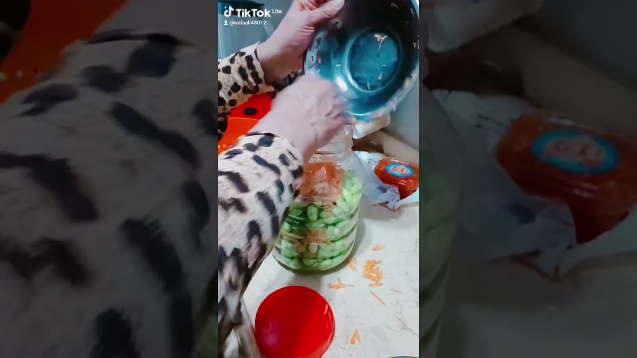 ١٥ فبراير ٢٠٢٦