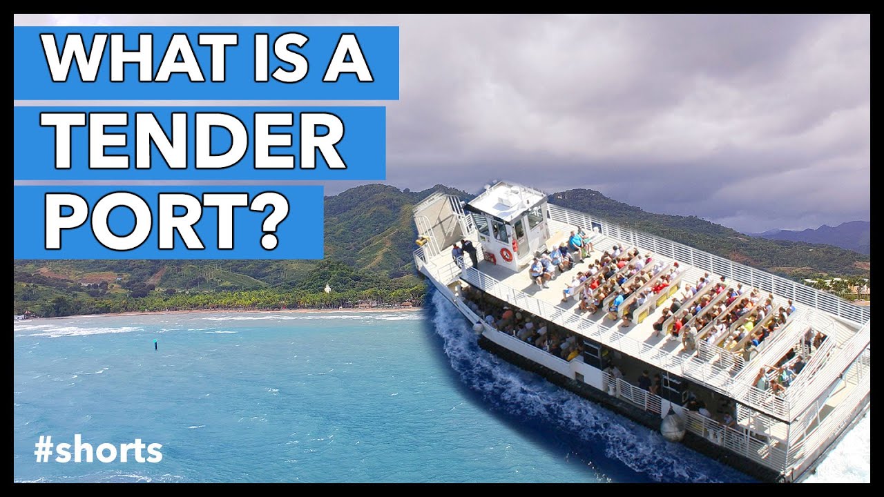 Cruise Tip: What Is A Tender Port? #shorts