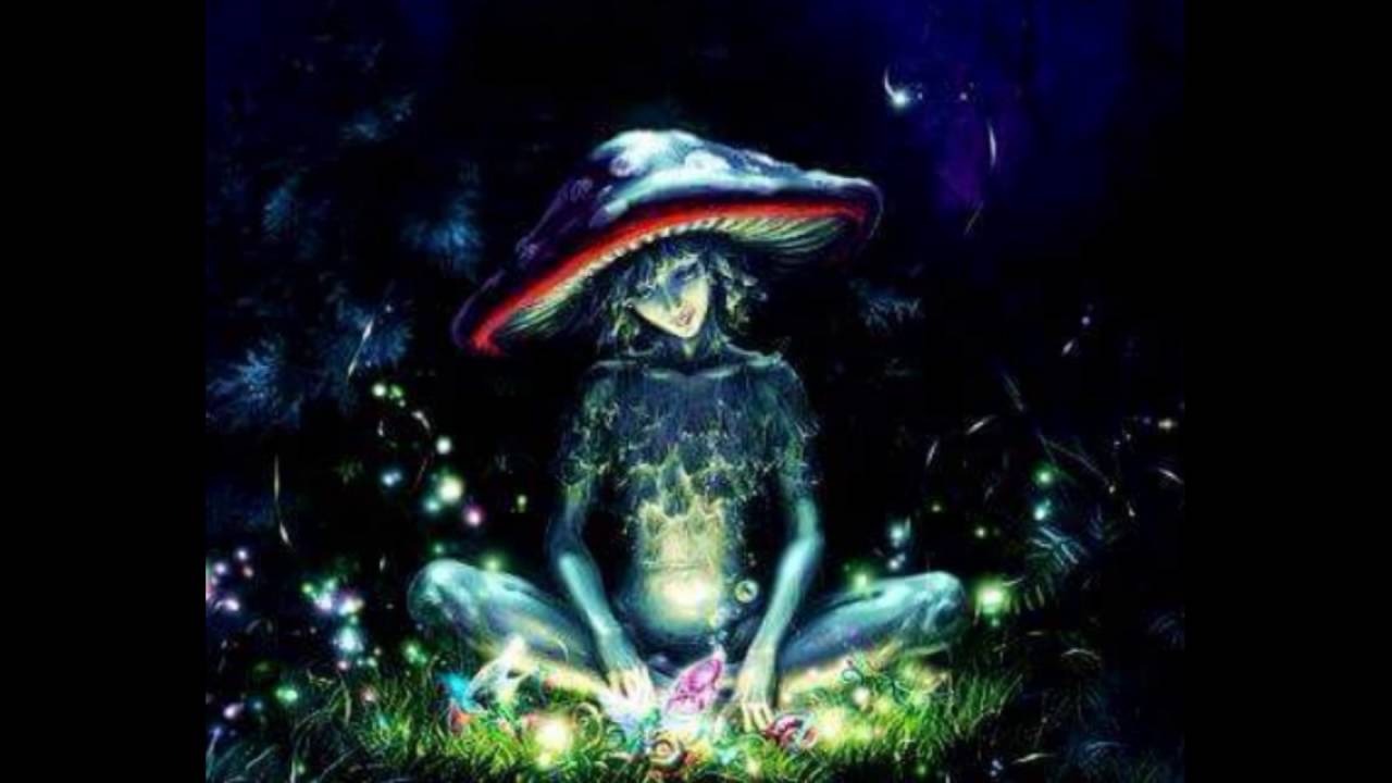 The Music - The Last One