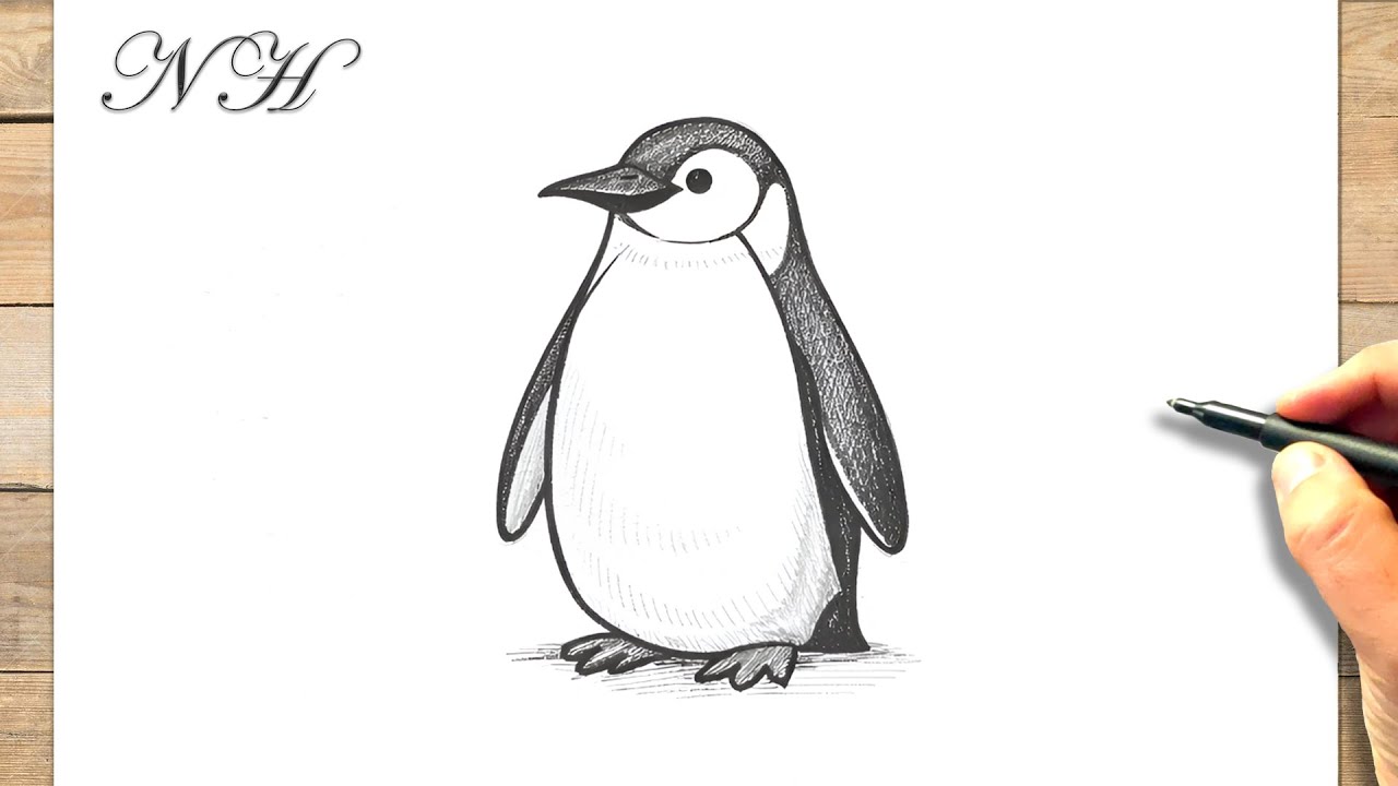 Comment dessiner un ‎manchot empereur